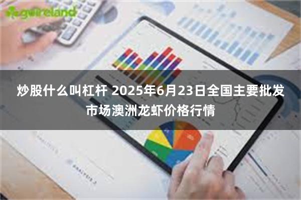炒股什么叫杠杆 2025年6月23日全国主要批发市场澳洲龙虾价格行情