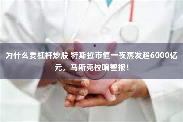 为什么要杠杆炒股 特斯拉市值一夜蒸发超6000亿元，马斯克拉响警报！